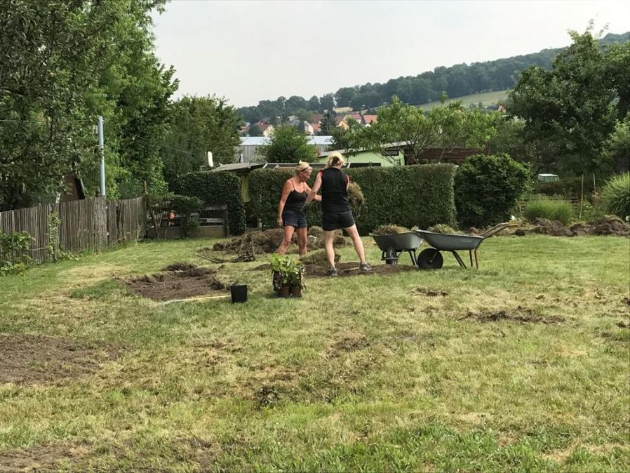 Helfer beim Abschütteln der Grasnarben