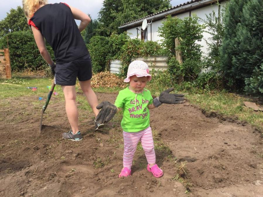 Helfer beim Abschütteln der Grasnarben