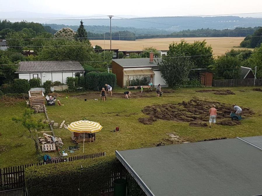 Helfer beim Abschütteln der Grasnarben