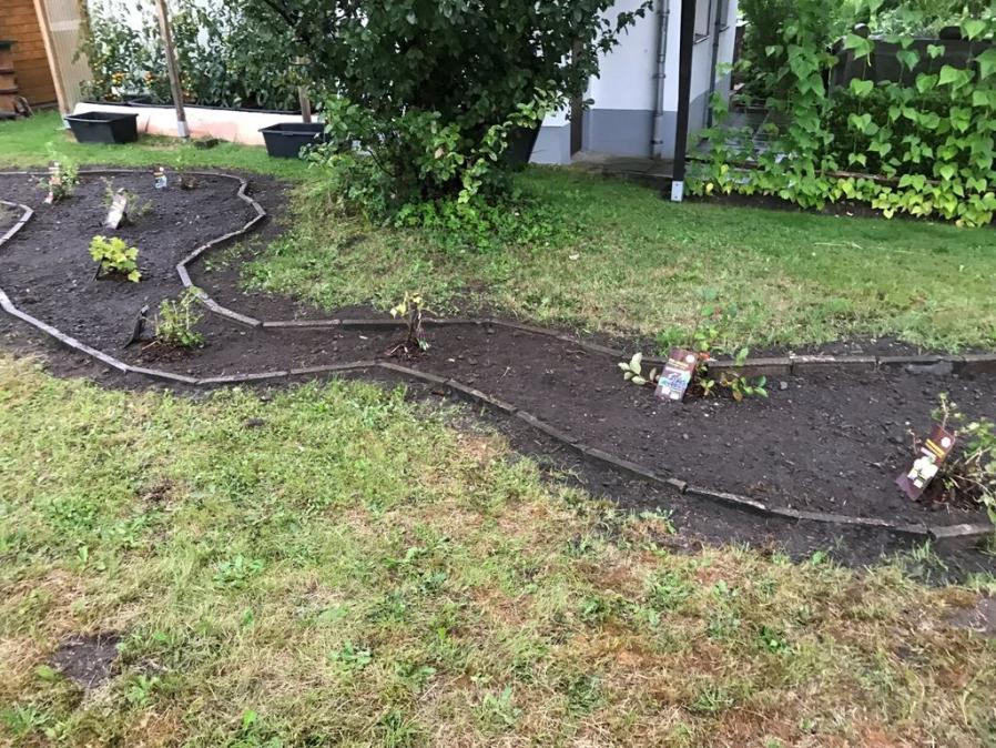 Beet begrenzt mit alten Terrassenplatten