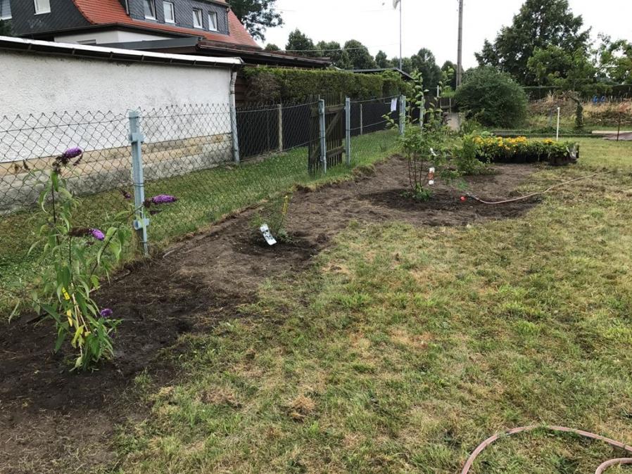 Blühsträucher gepflanzt