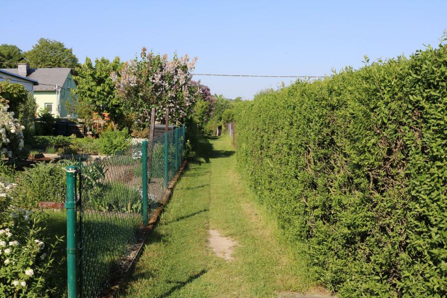 Nebenweg
