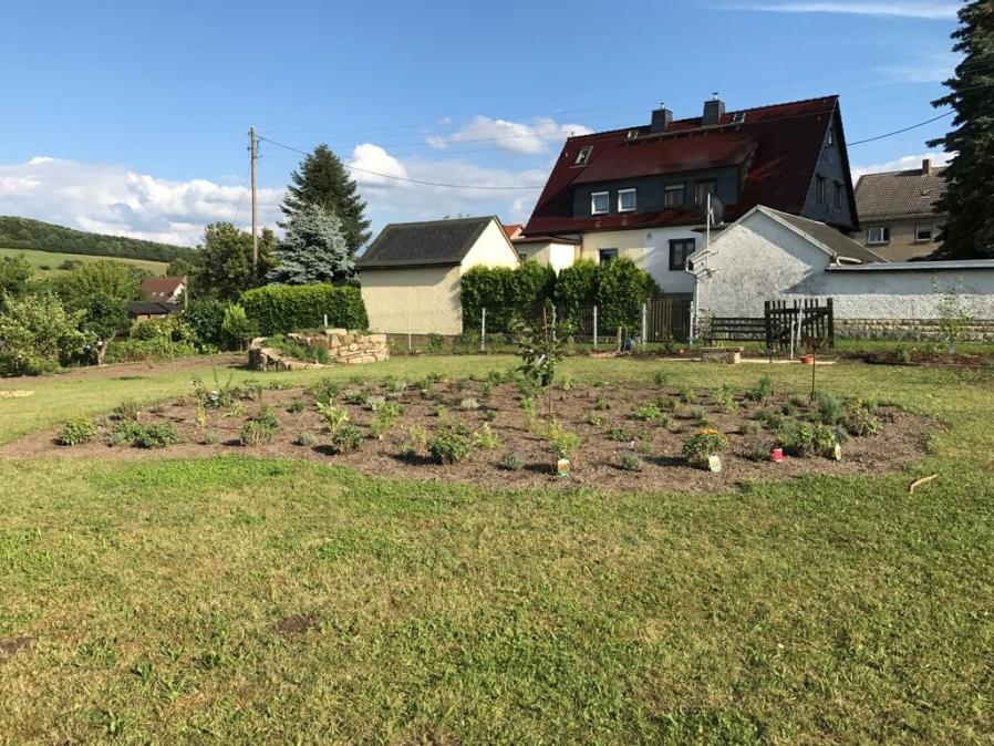 Mittelbeet nach dem Pflanzen